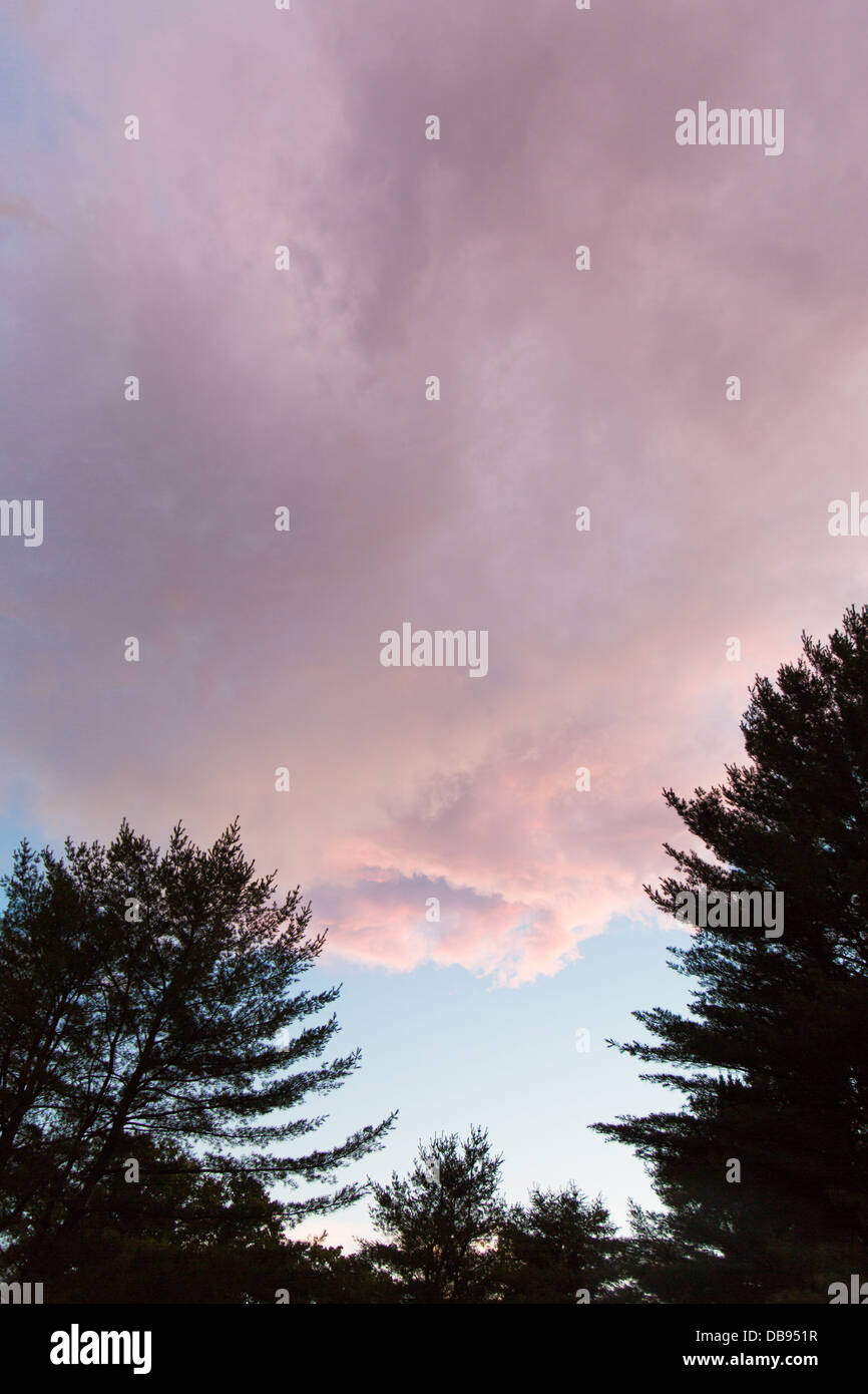 Una calma después de la tormenta. Las nubes persisten durante siluetas de árboles. Foto de stock