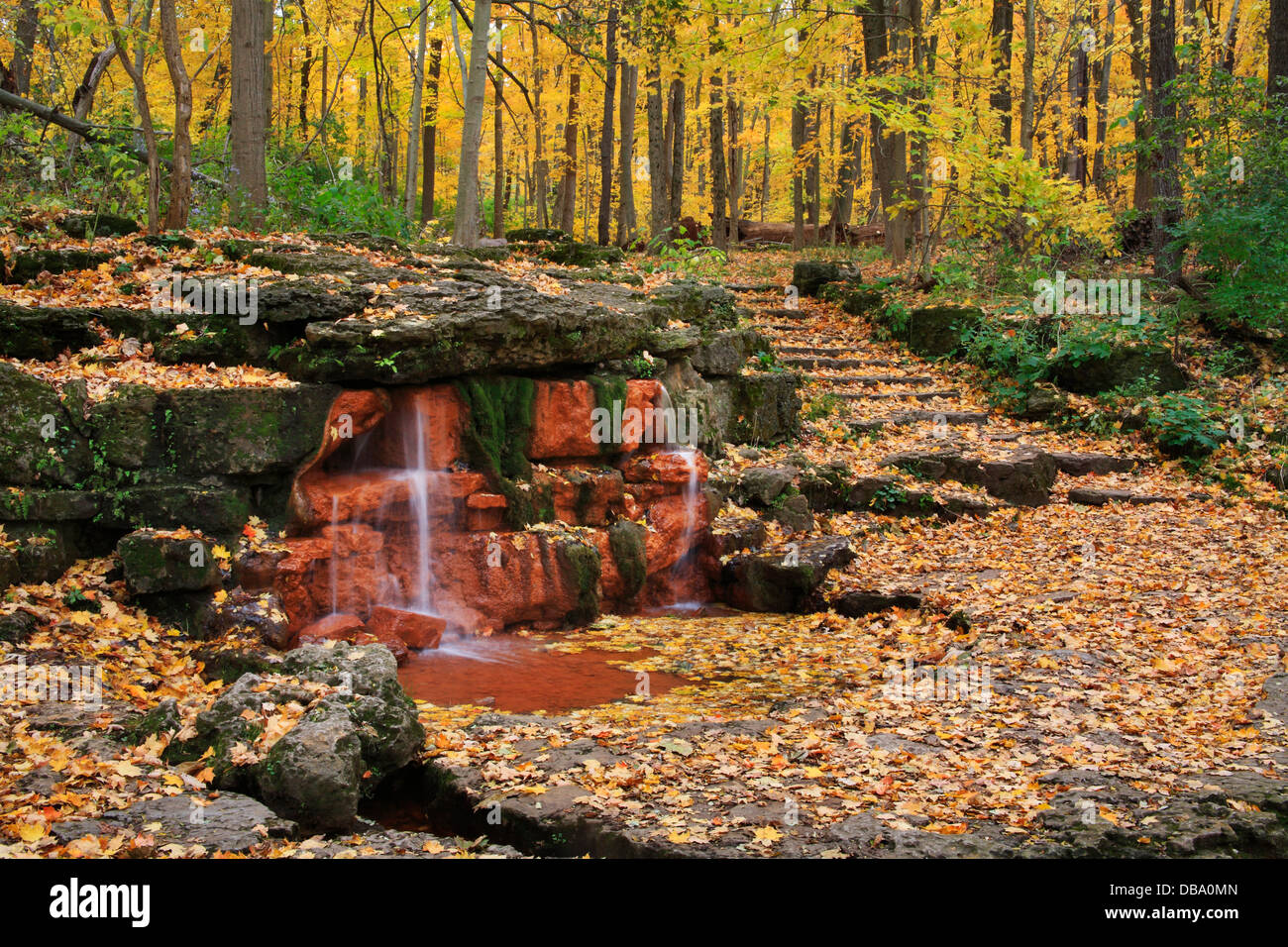 Un manantial natural con escalera de piedra y camino a través de un bosque en otoño, Glen Helen Nature Preserve Yellow Springs, Ohio, EE.UU. Foto de stock