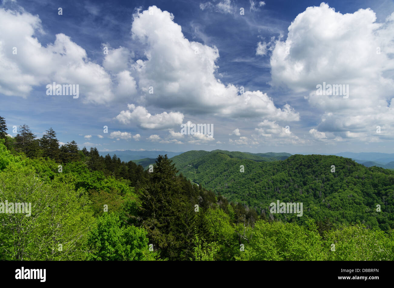 Great Smoky Mountains National Park paisaje desde Newfound Gap pase Foto de stock