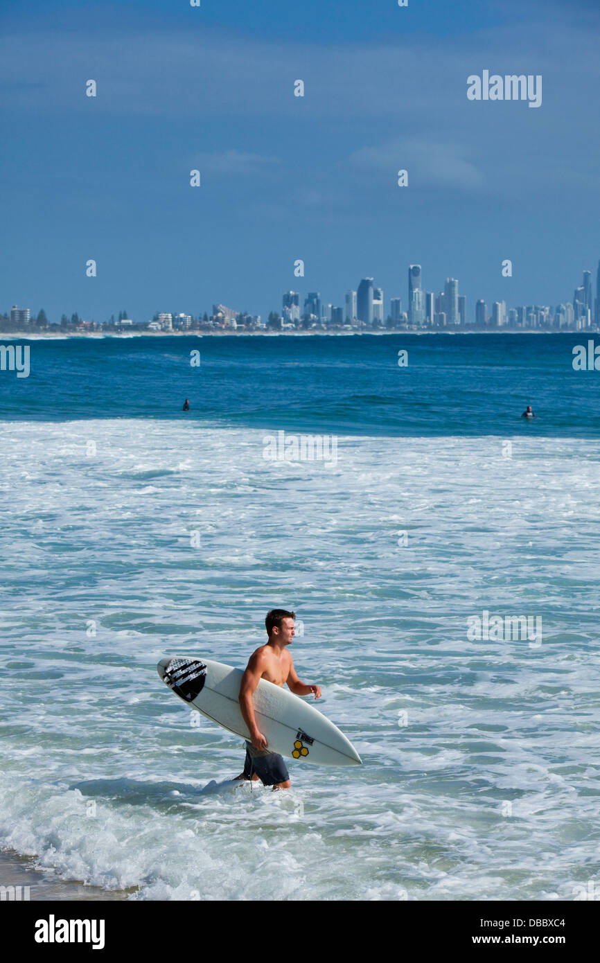 Surfista entrando en el agua con el horizonte de Surfers Paradise en el fondo. Burleigh Heads, Gold Coast, Queensland, Australia Foto de stock