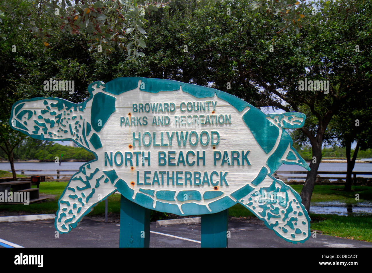 Hollywood Florida, North Beach Park Leatherback Area, señal, tortuga marina, buscando FL130720227 Foto de stock