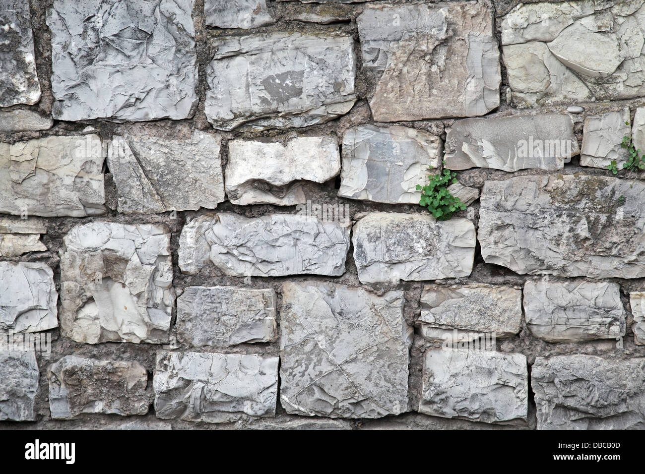 Viejo muro de piedra gris con hierba verde entre bloques Foto de stock
