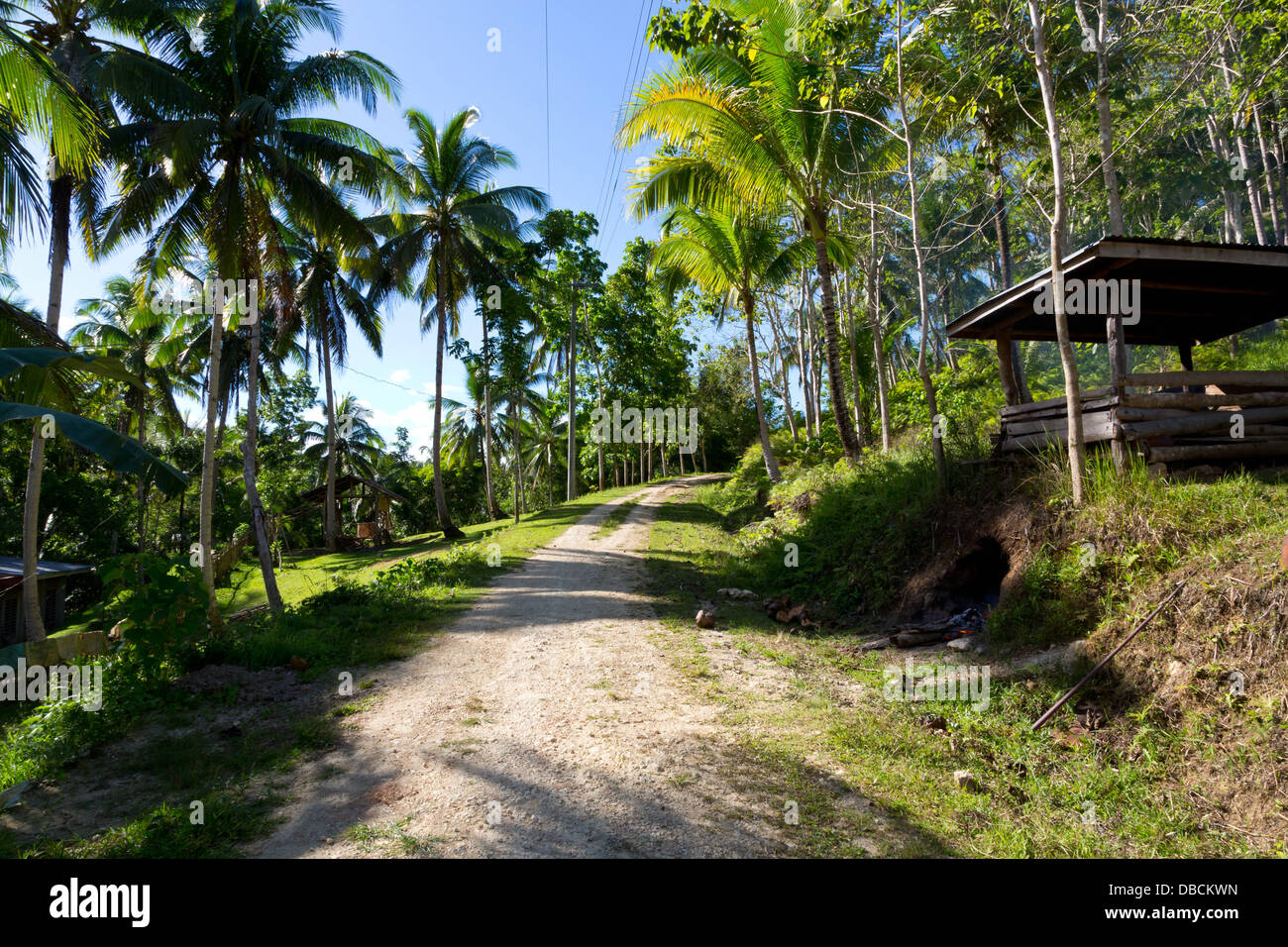 Carretera Rural en la isla de Bohol, Filipinas Foto de stock