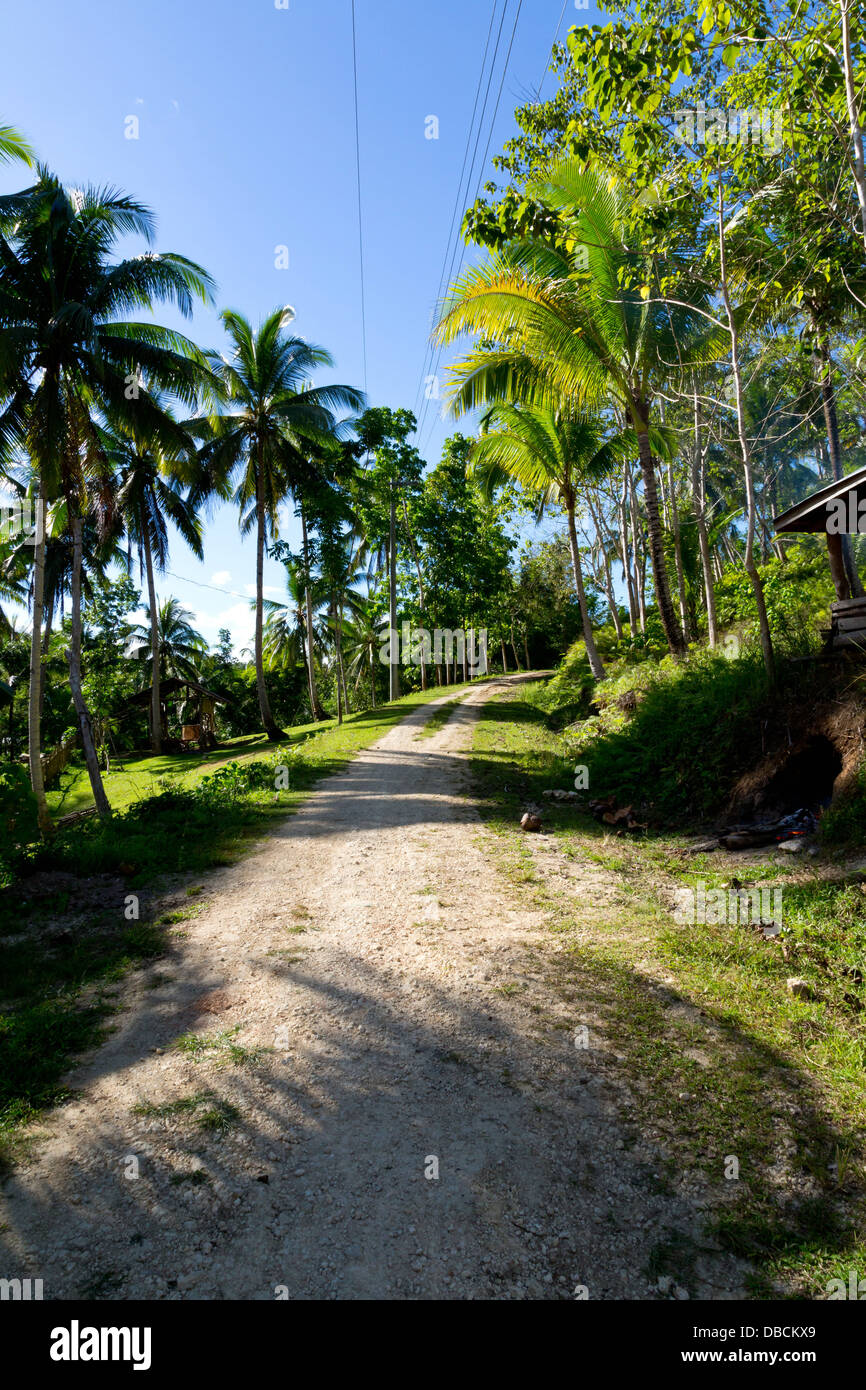Carretera Rural en la isla de Bohol, Filipinas Foto de stock
