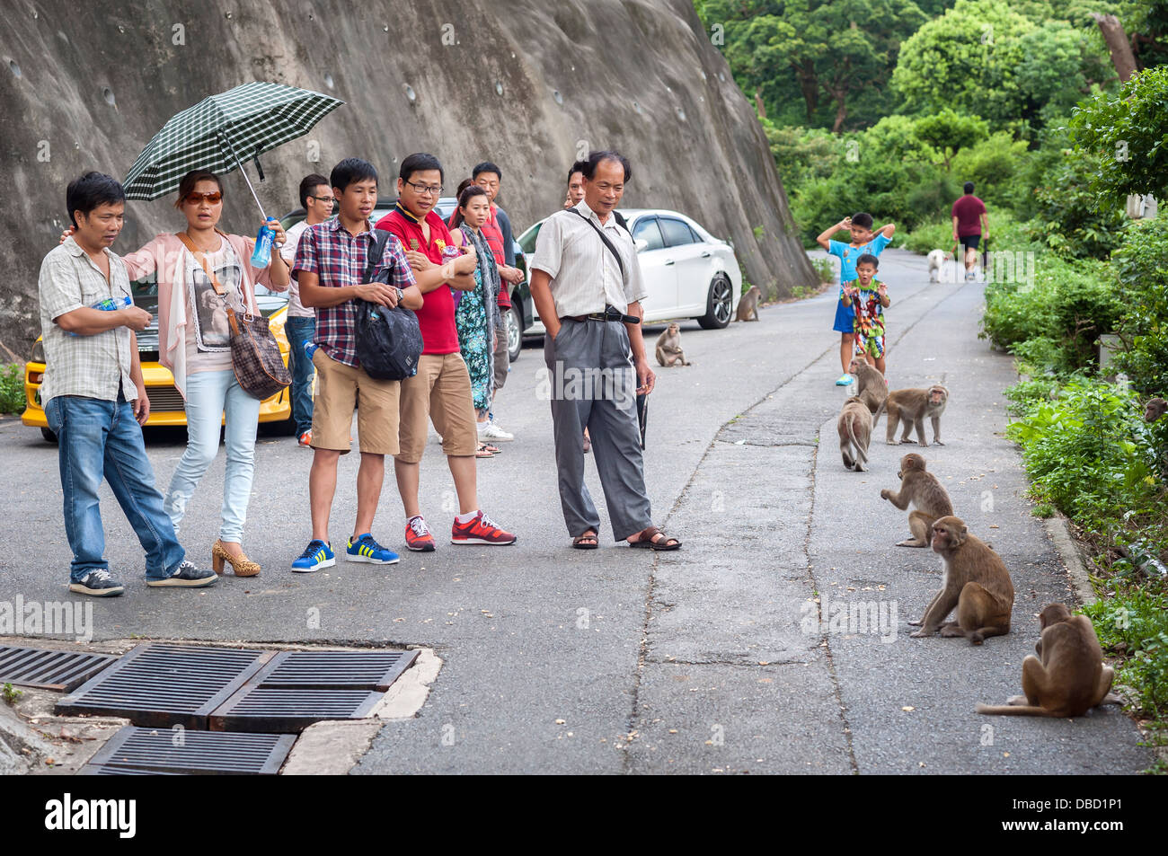 Grupo de gente para ver los monos salvajes en Kam Shan Country Park, Hong Kong Foto de stock