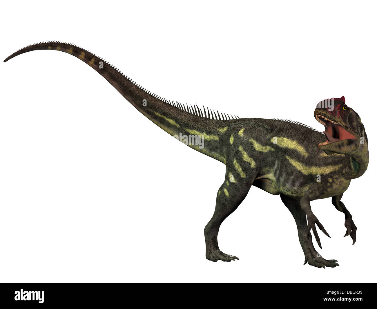 Allosaurus era un gran depredador de dinosaurios terópodos, que vivieron en el jurásico. Foto de stock