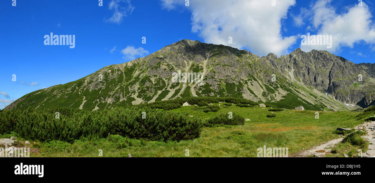 Panorama de montaña de verano en Tatras Foto de stock