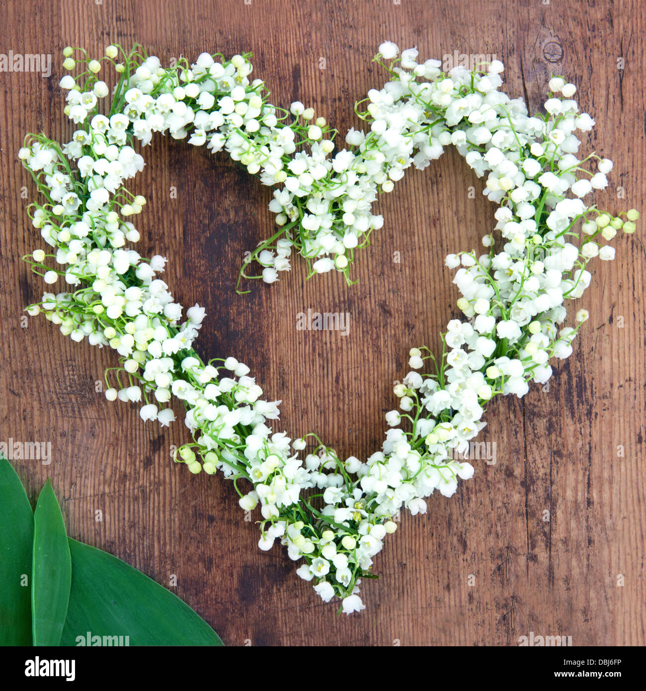 Guirnalda de flores en forma de corazón de lilys del valle sobre fondo de madera rústica Foto de stock