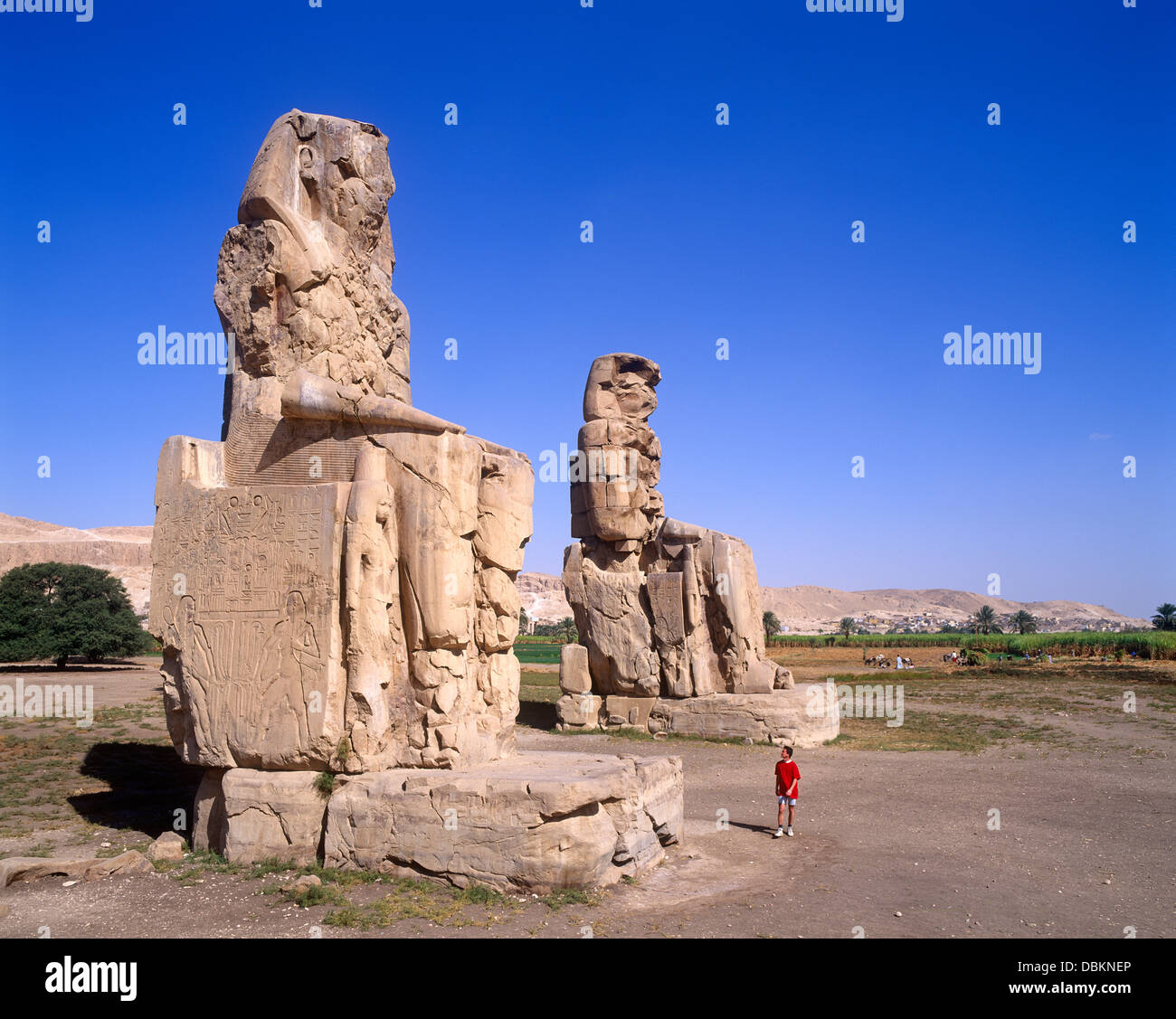 Coloso de Memnon, Luxor, Egipto Foto de stock
