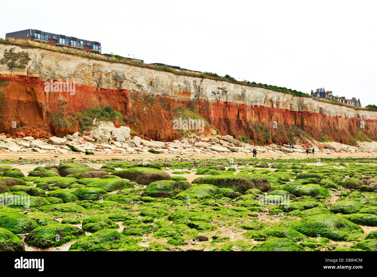 Hunstanton playa con rayas rojo y blanco tiza acantilados y rocas cubiertas de algas algas visibles por la marea baja, Norfolk, Inglaterra Foto de stock