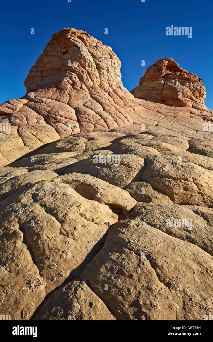 Arenisca, formaciones, Vermillion Cliffs National Monument, Arizona, Estados Unidos de América, América del Norte Foto de stock