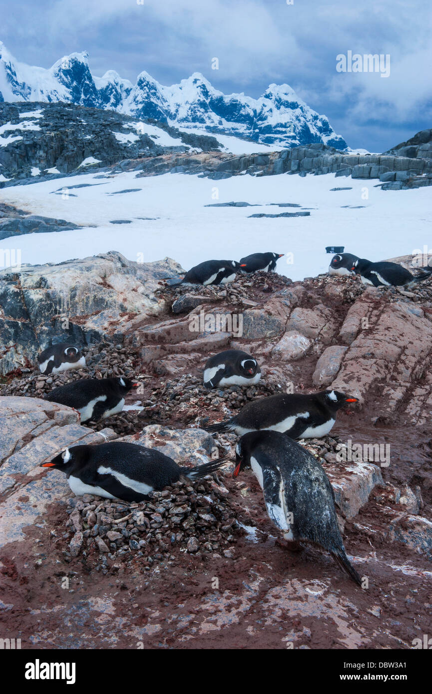 Puerto Lockroy Research Station, la Antártica, regiones polares Foto de stock