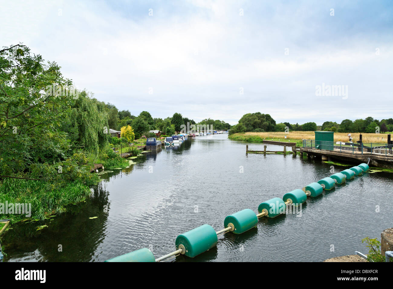 Los barcos en el río cerca de Nene Orton Lock, Peterborough, Inglaterra Foto de stock