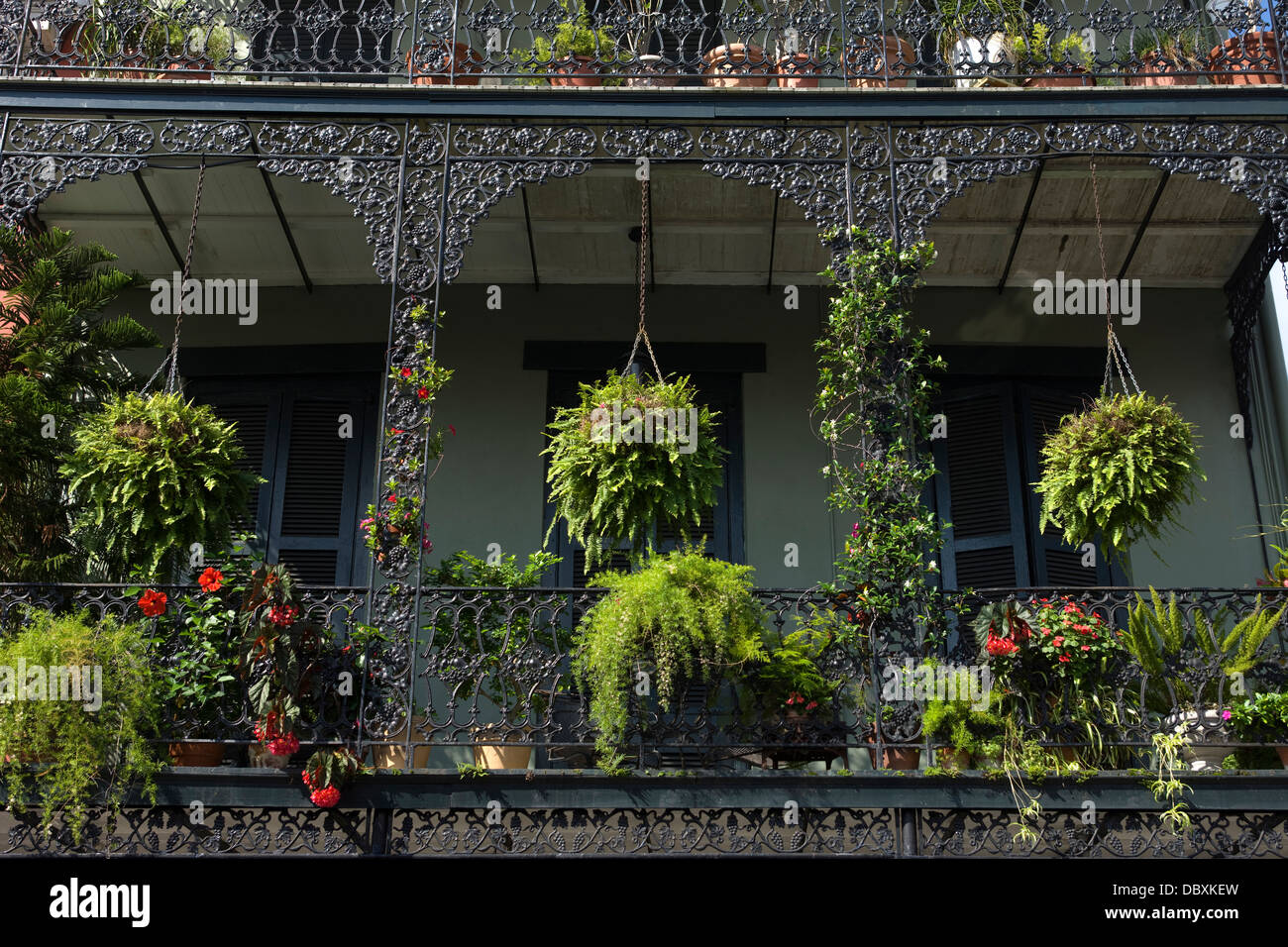 Balcón de hierro fundido macetas colgantes en el centro del barrio francés  de Nueva Orleans, Louisiana, EE.UU Fotografía de stock - Alamy