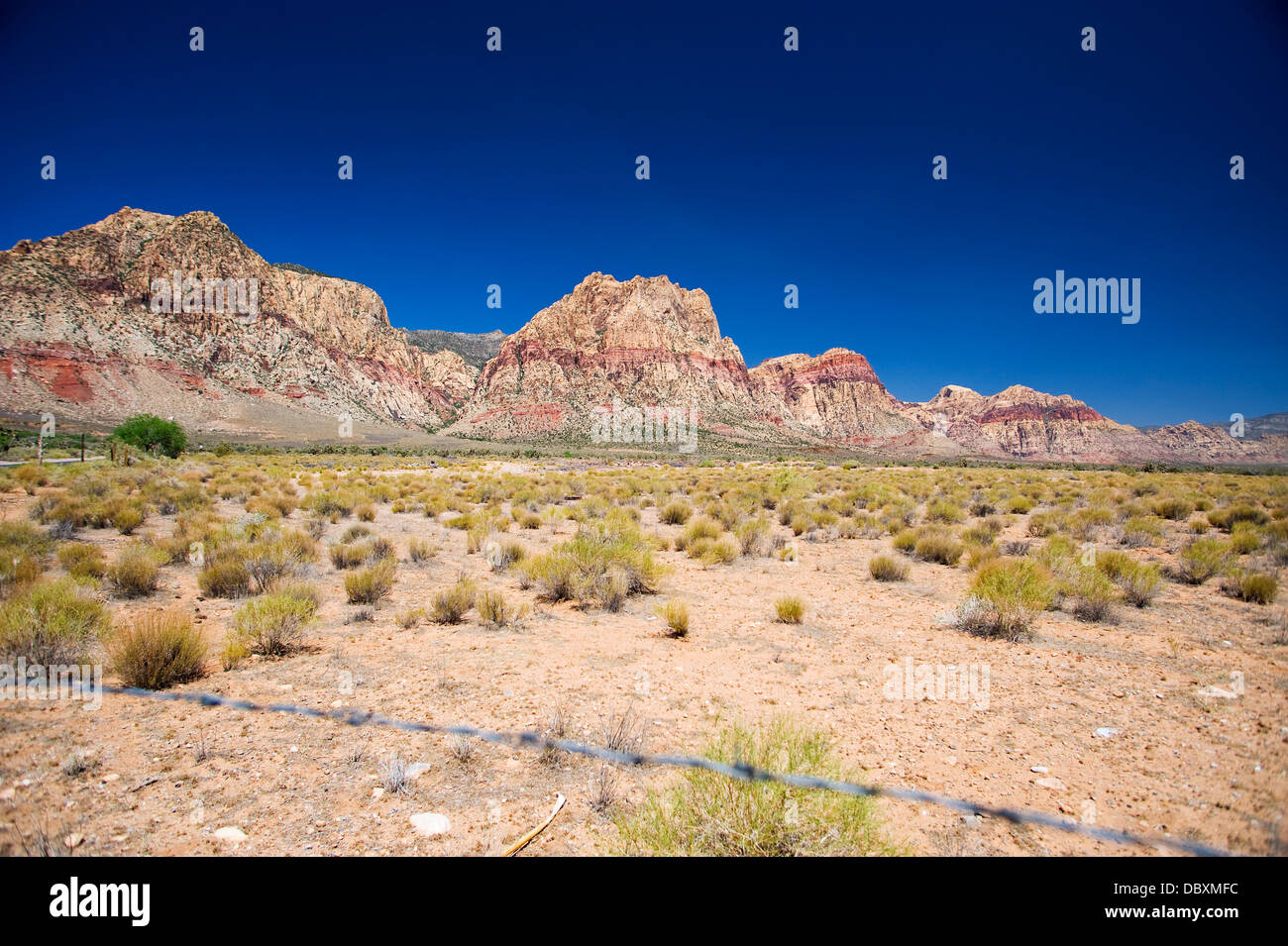 Area de Conservación Nacional de Red Rock Canyon, Nevada Foto de stock