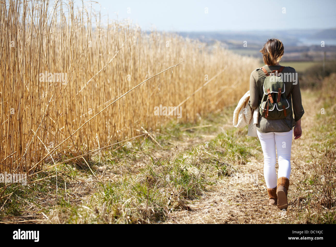 Mujer joven caminando por pista de tierra junto al campo de cañas Foto de stock