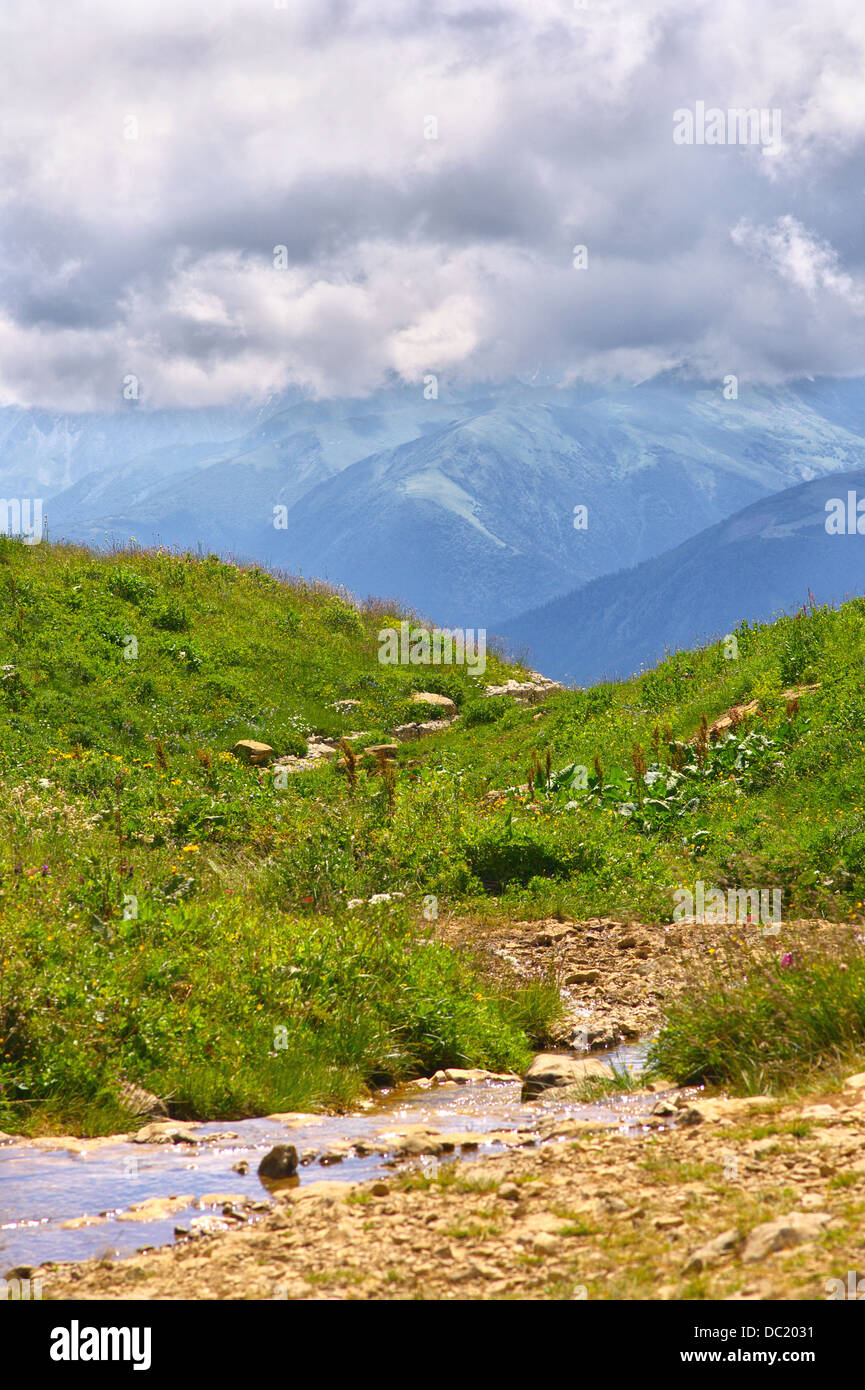 Prado verde con flores y agua corriente y las montañas de fondo, el paisaje con truenos nubes Foto de stock