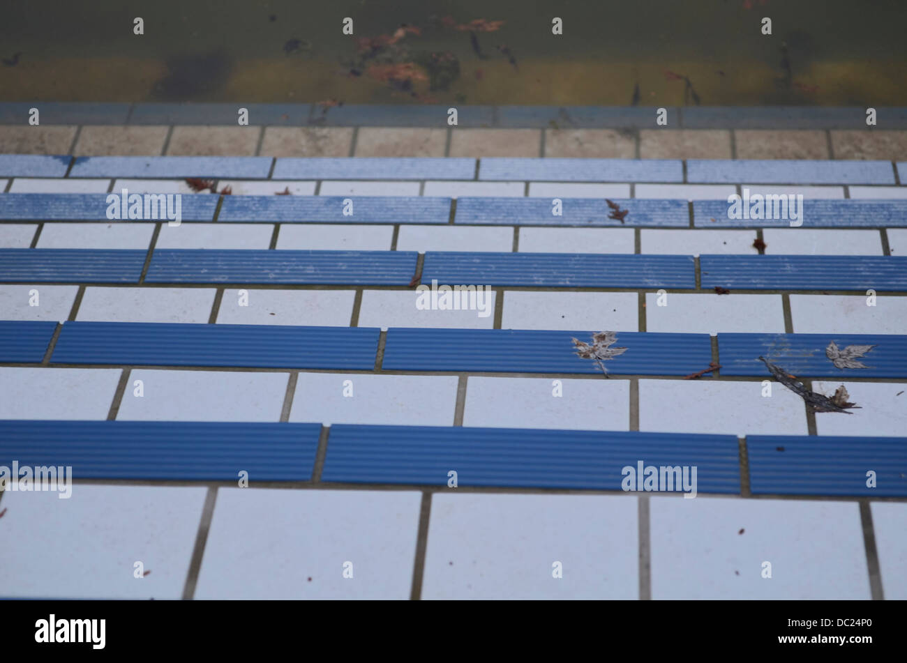 Azul piscina escaleras y agua sucia con caído Leafs Foto de stock