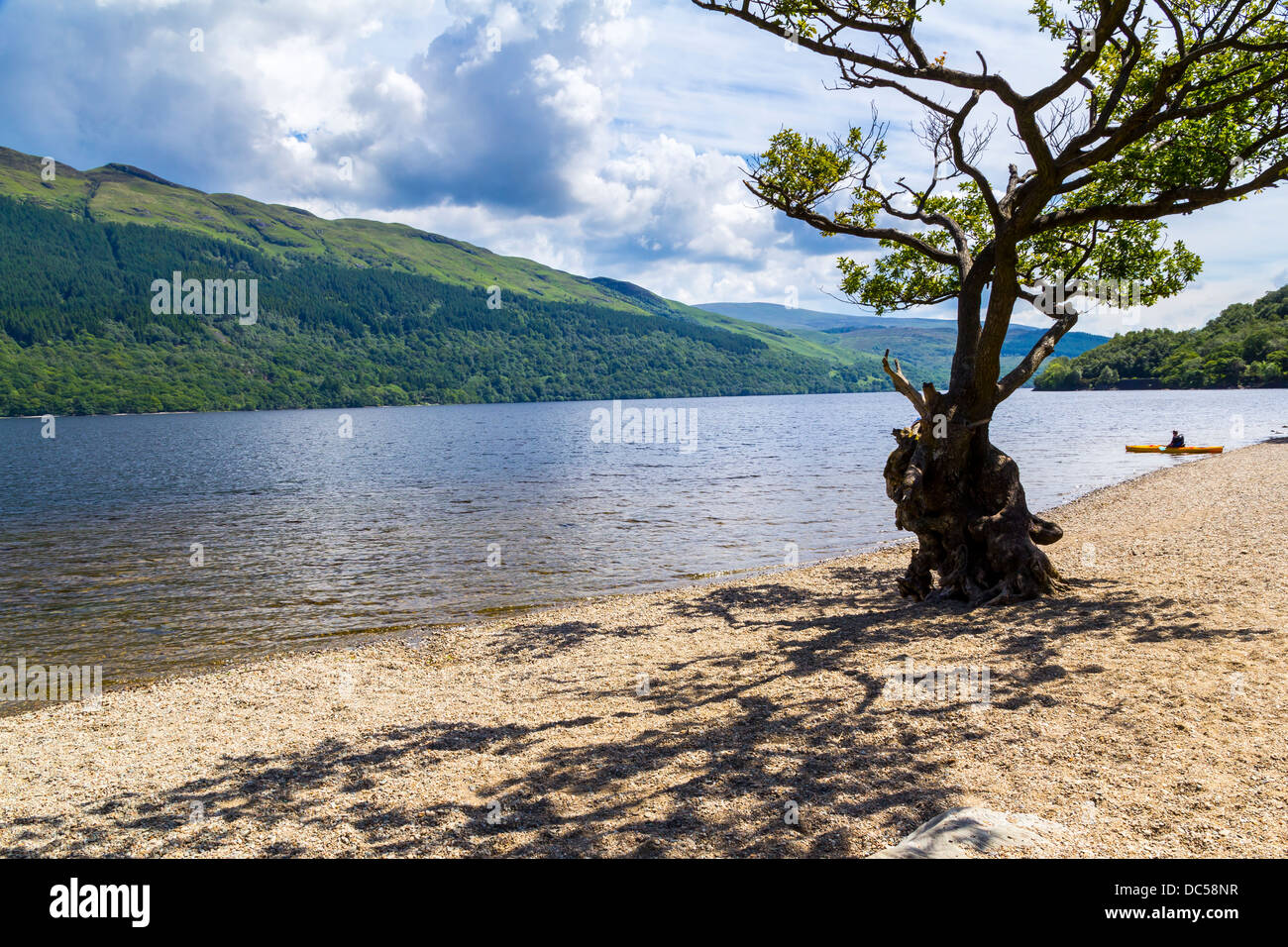 Firkin punto en Loch Lomond, en el Parque Nacional Trossachs Escocia UK Foto de stock