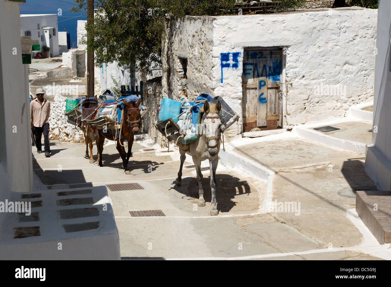 Mulas de trabajo en pueblo griego. Foto de stock