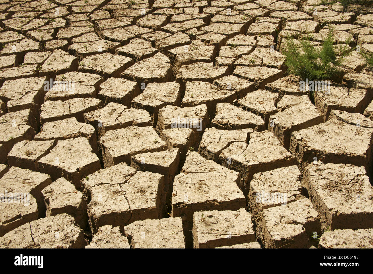 La sequía, la falta de lluvia de agua Foto de stock