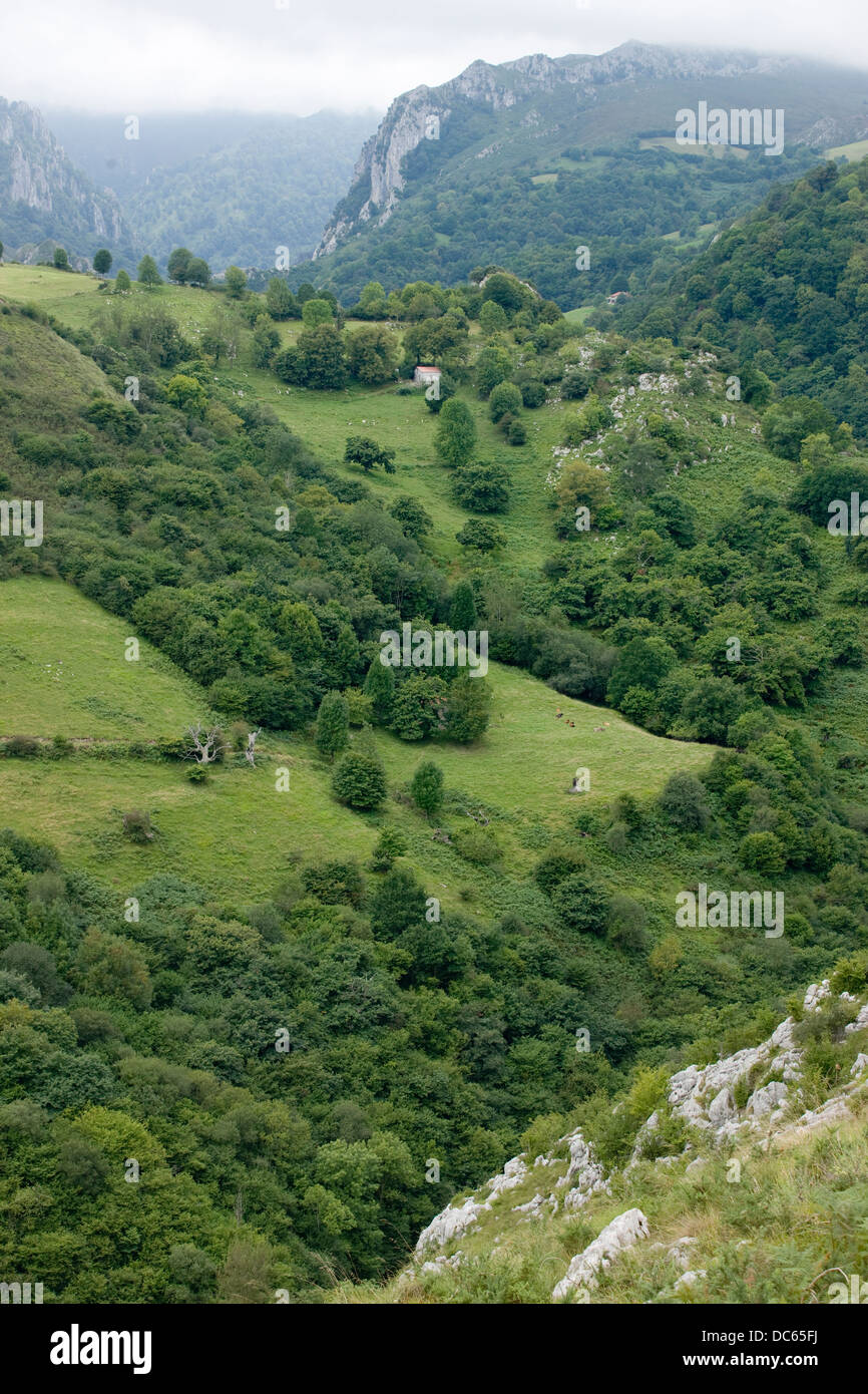 El PARQUE NACIONAL DE PICOS DE EUROPA Asturias españa Foto de stock