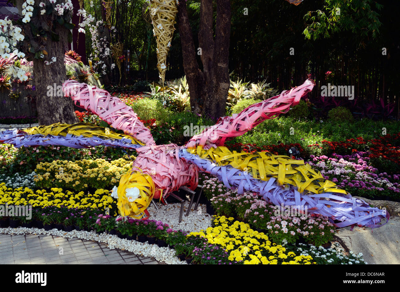 Dragonfly Rajapreuk floral en el Royal Garden, Chiang Mai, Tailandia Foto de stock
