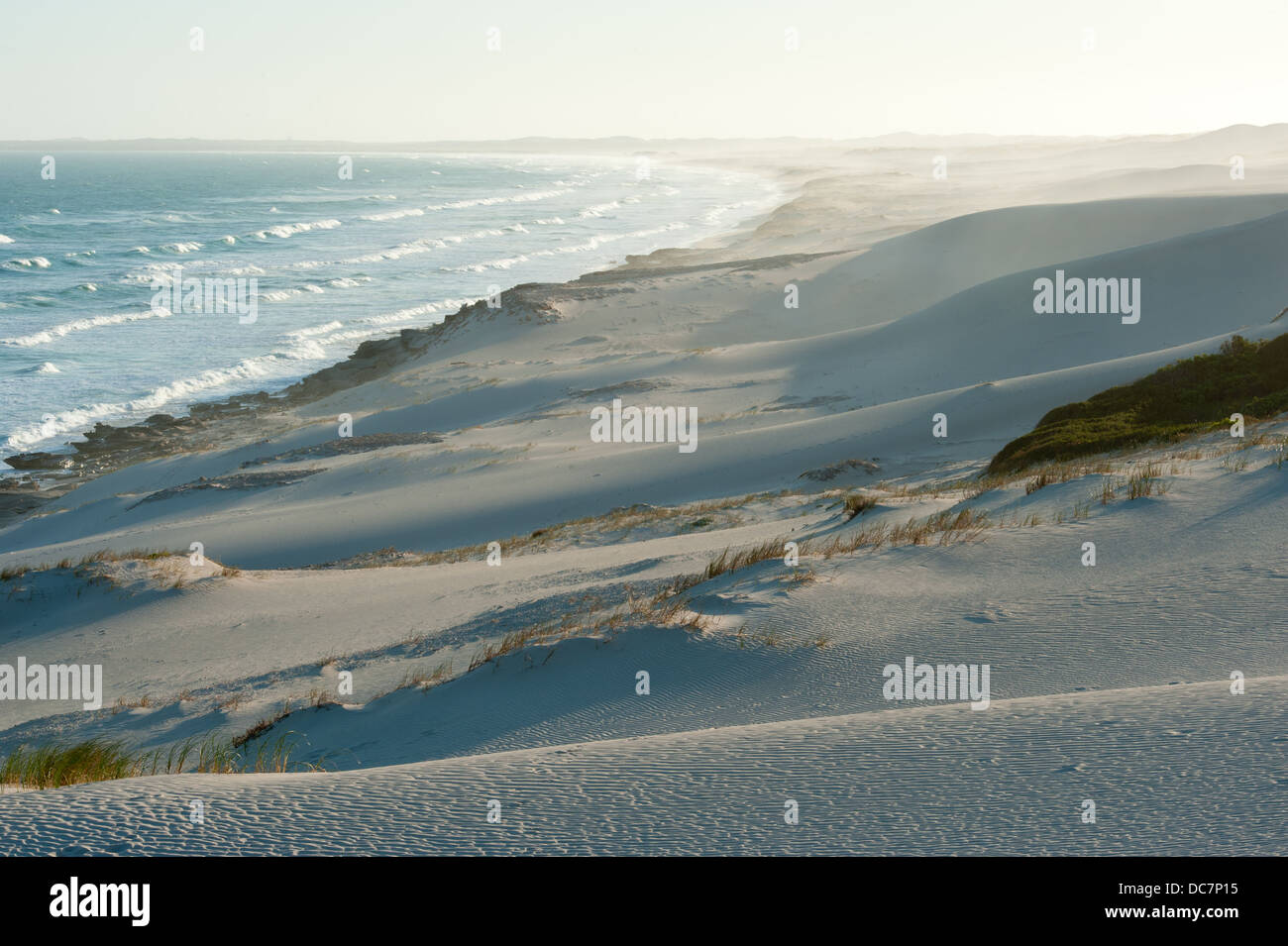 Un litoral accidentado, Reserva Natural de Hoop, Western Cape, Sudáfrica Foto de stock
