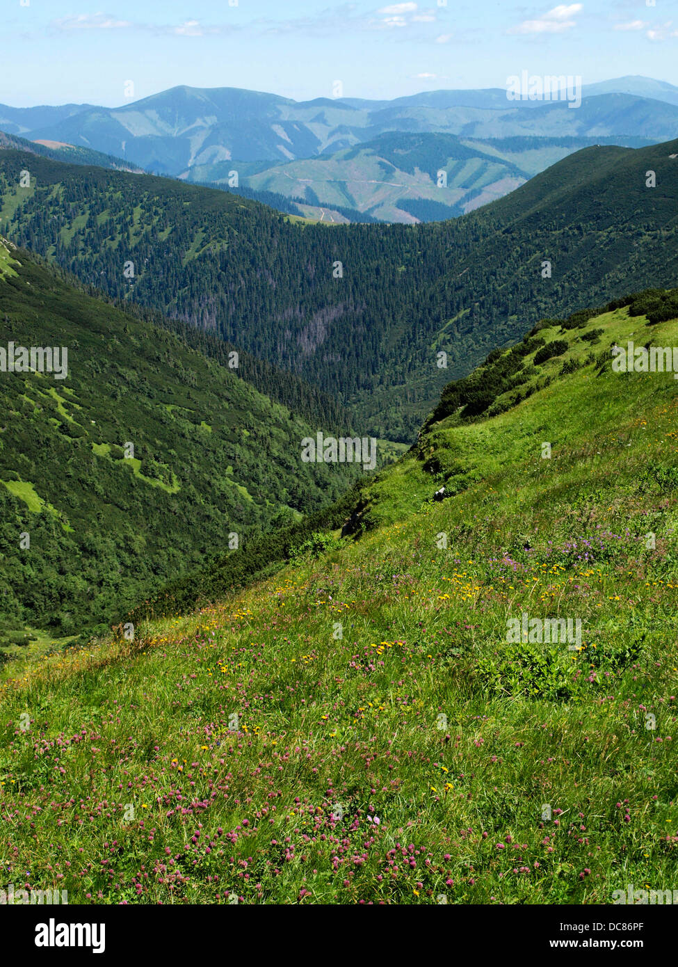 Liptov vista desde los Bajos Tatras Eslovaquia paisaje de montaña en verano de julio Green Hills Foto de stock