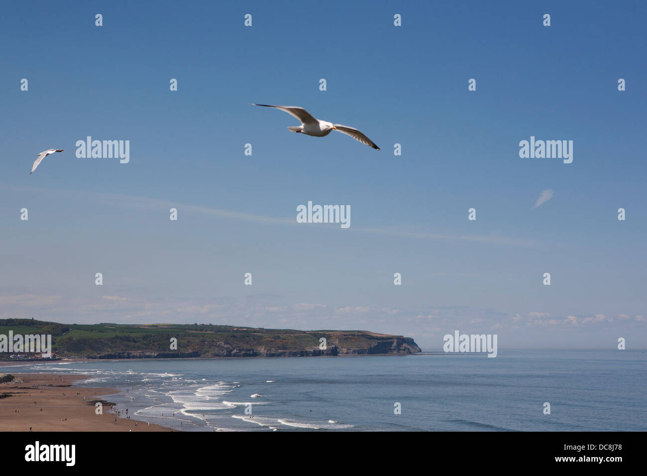 Vistas a la bahía de Whitby con gaviotas volando en el cielo azul brillante. Foto de stock