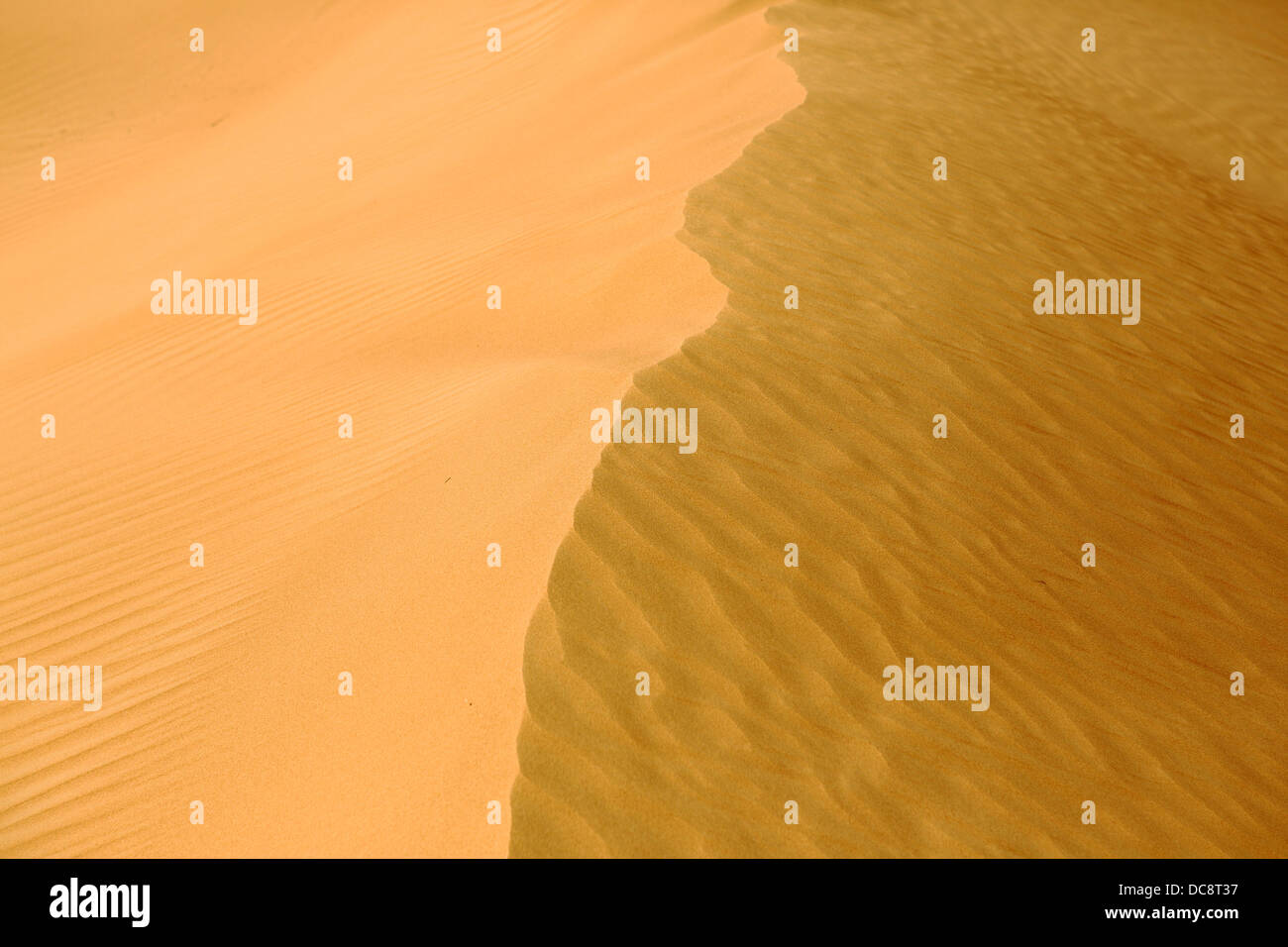 Una duna de arena en el desierto de Arabia, Dubai, Emiratos Árabes Unidos. Foto de stock