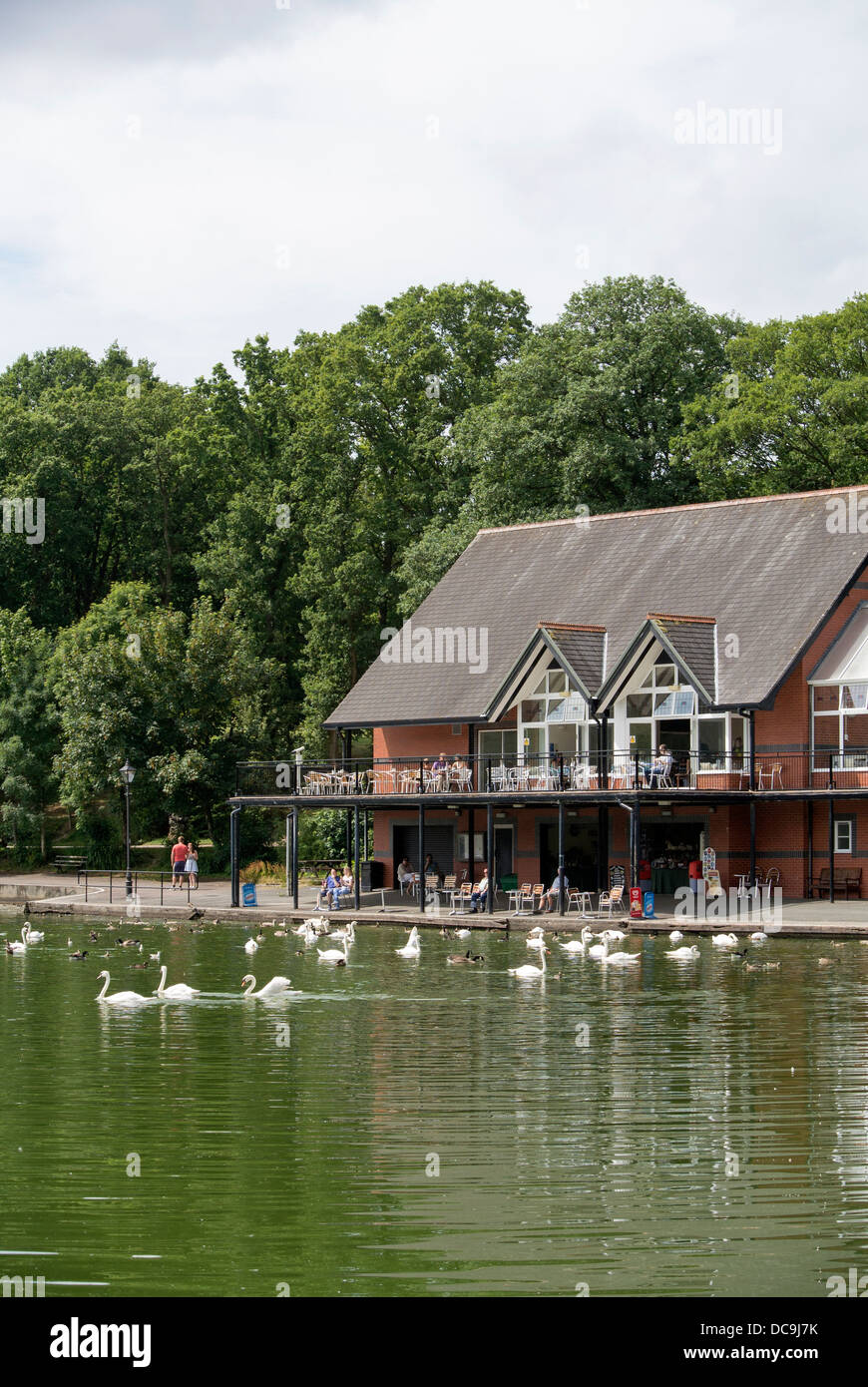 De Llandrindod Wells el lago de los cisnes y patos y restaurante junto al lago edificio Powys, Gales, Reino Unido. Foto de stock
