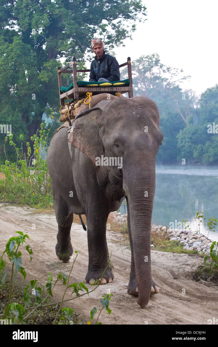 Mahout y el elefante, el Parque Nacional Bardia, Nepal Foto de stock