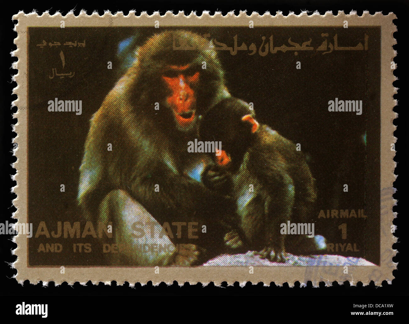 Sello impreso por Ajman muestra monos, circa 1973 Foto de stock