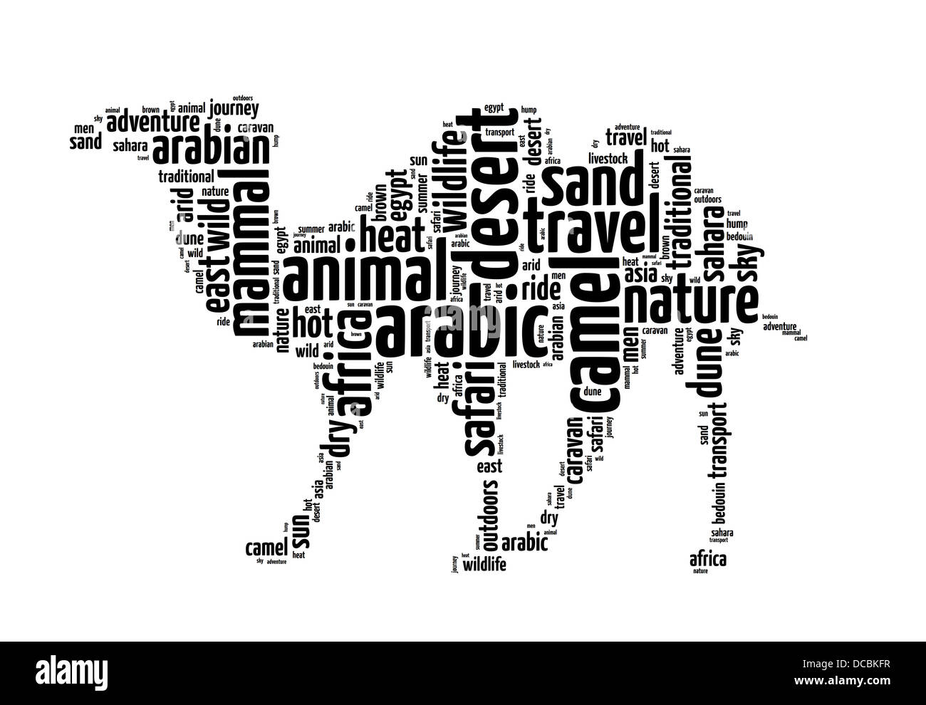 Palabras ilustración de un camello en fondo blanco. Foto de stock