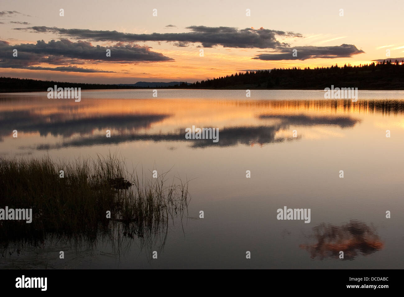 Un Abendstimmung einem ver en Skandinavien, Sonnenuntergang Norwegen, humor, noche en un lago en Escandinavia, Noruega, sundown Foto de stock