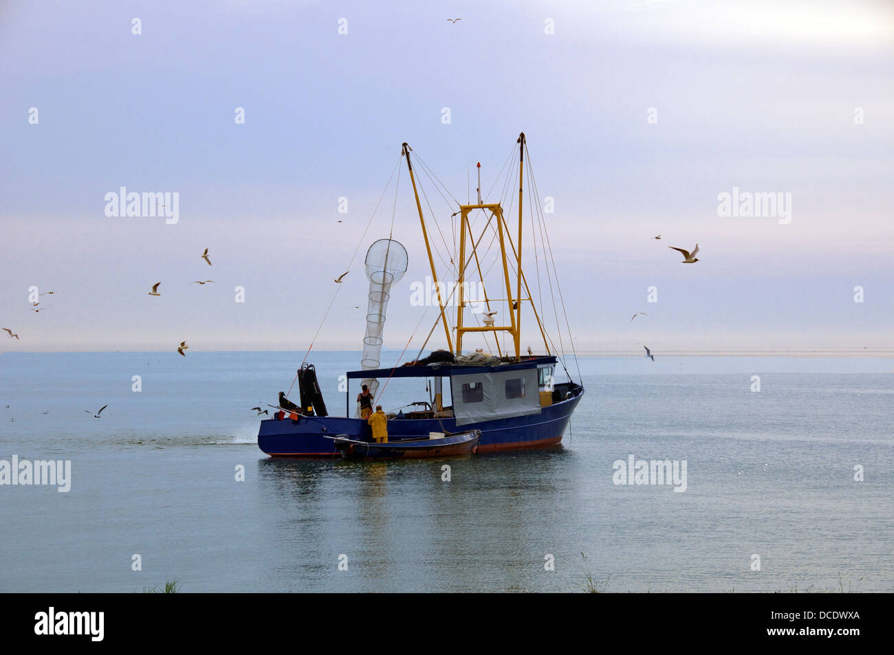 La pesca de arrastre y gaviotas Stavoren Friesland, Holanda Foto de stock