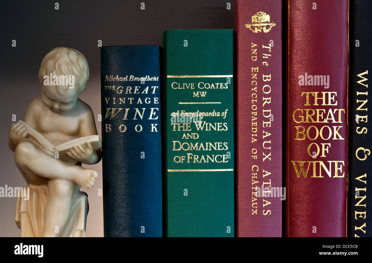 Libros de referencia de lectura de vinos en estantería con figura tallada de librería de niño leyendo acerca de la colección de degustación de conocimientos enófilos Foto de stock