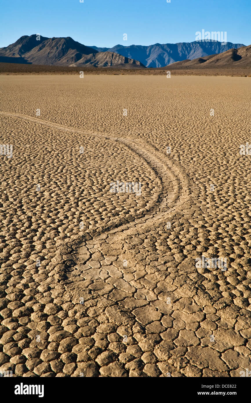 Las pistas dejadas por misteriosas rocas en movimiento sobre el piso de barro seco en el Racetrack Playa, Parque Nacional Valle de la Muerte, California Foto de stock