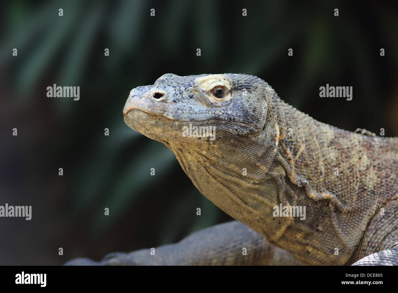 Monitor blindado fotografías e imágenes de alta resolución - Página 2 -  Alamy