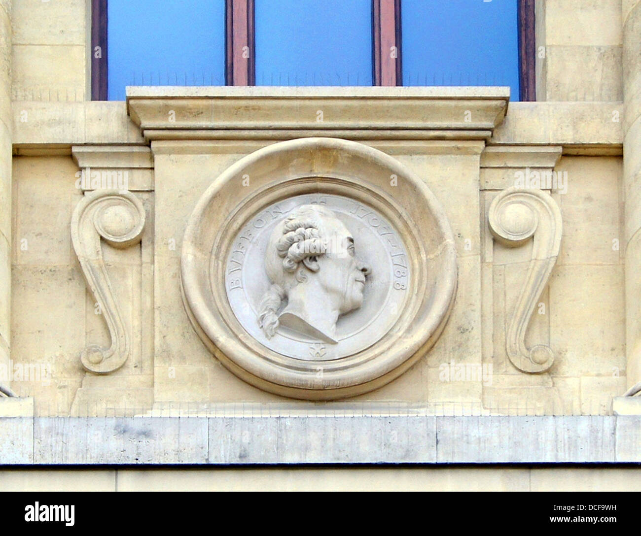 Buffon. Tercer mascaron (izquierda) en la fachada de la Grande Galerie de l'Evolution, en el Jardin des Plantes de París Foto de stock