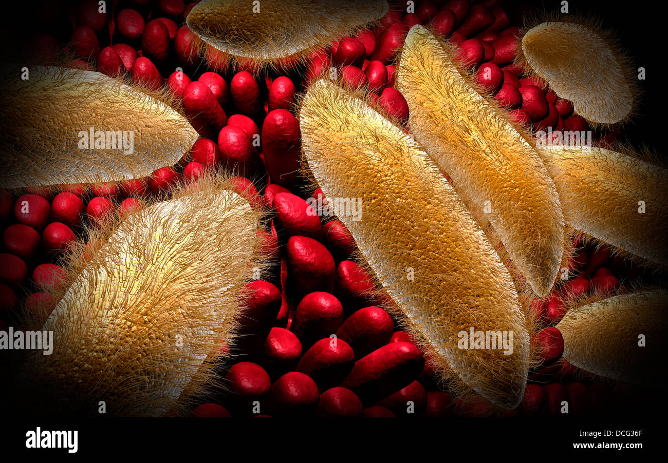 Imagen conceptual de la paramecio. Foto de stock