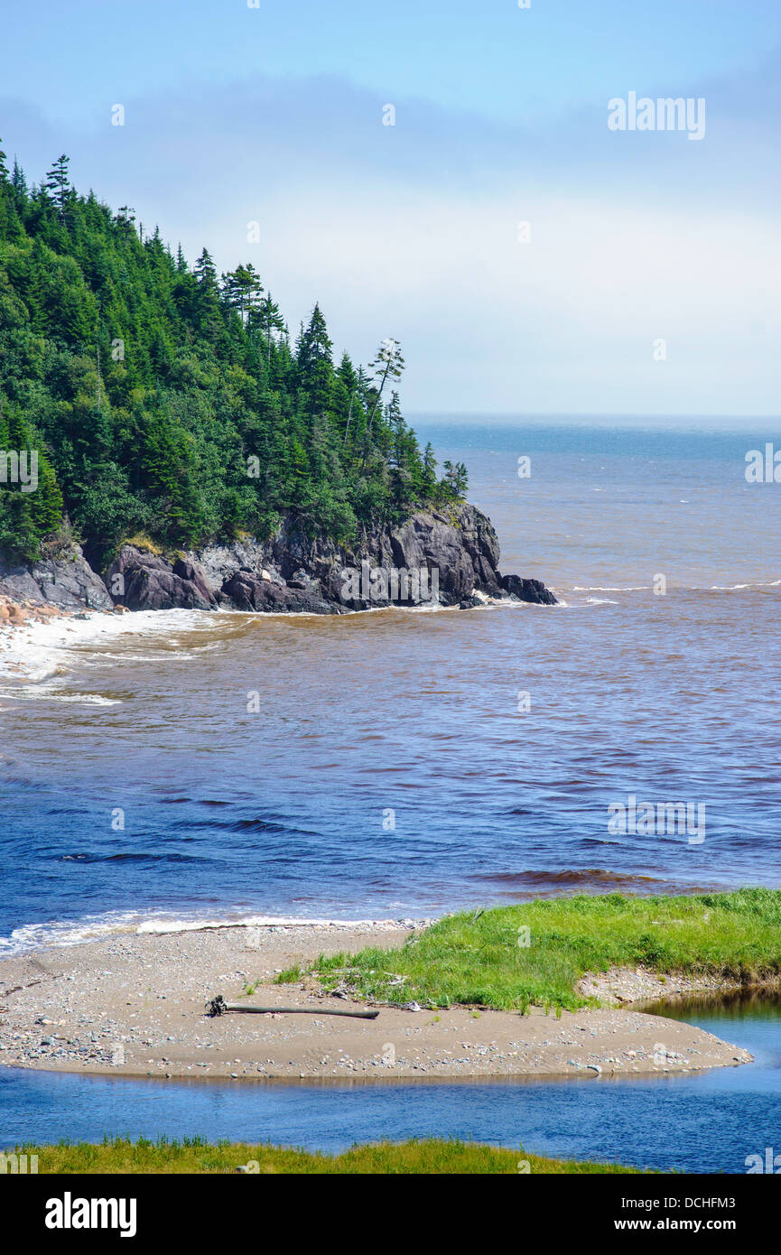 Fundy sendero costero cruza gran río de salmones en Nueva