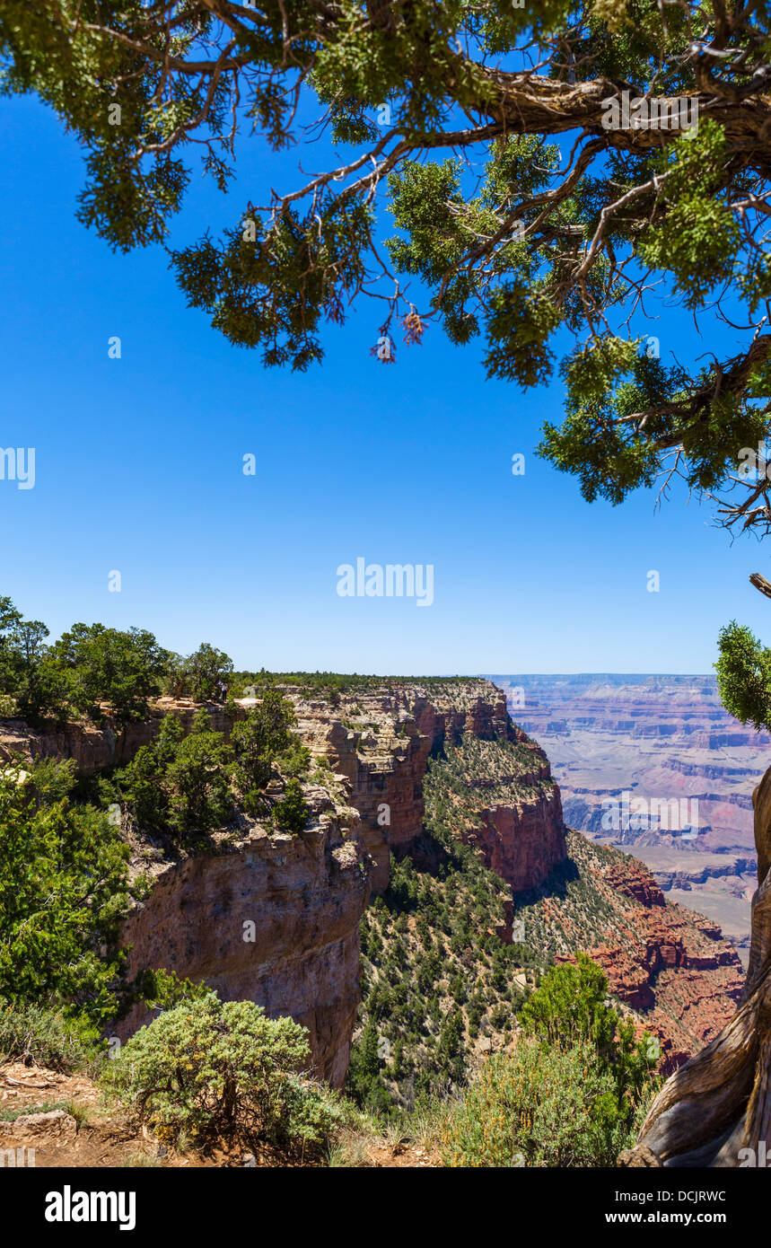 Vista hacia el Mather Point desde East Rim Trail entre Mather & Yaki Puntos, South Rim, el Parque Nacional del Gran Cañón, Arizona, EE.UU. Foto de stock