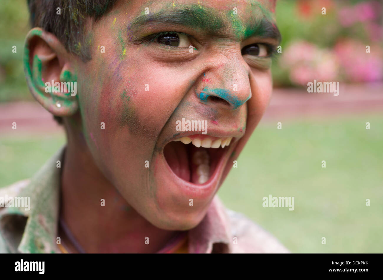Celebrar Holi, Festival de colores, una primavera festival hindú - Jaipur, Rajasthan, India Foto de stock