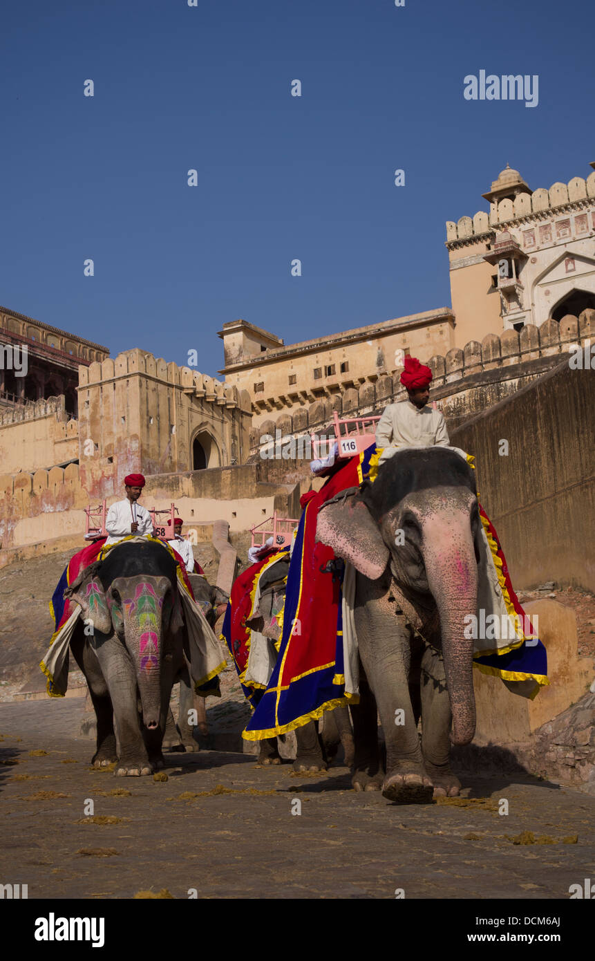 Elefante indio que transporta turistas hasta ámbar ( ) Amer Fort / Palace - Jaipur, Rajasthan, India Foto de stock