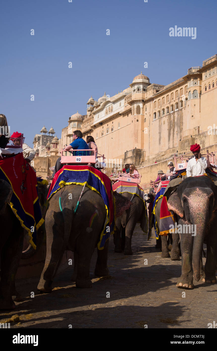 Elefante indio que transporta turistas hasta ámbar ( ) Amer Fort / Palace - Jaipur, Rajasthan, India Foto de stock