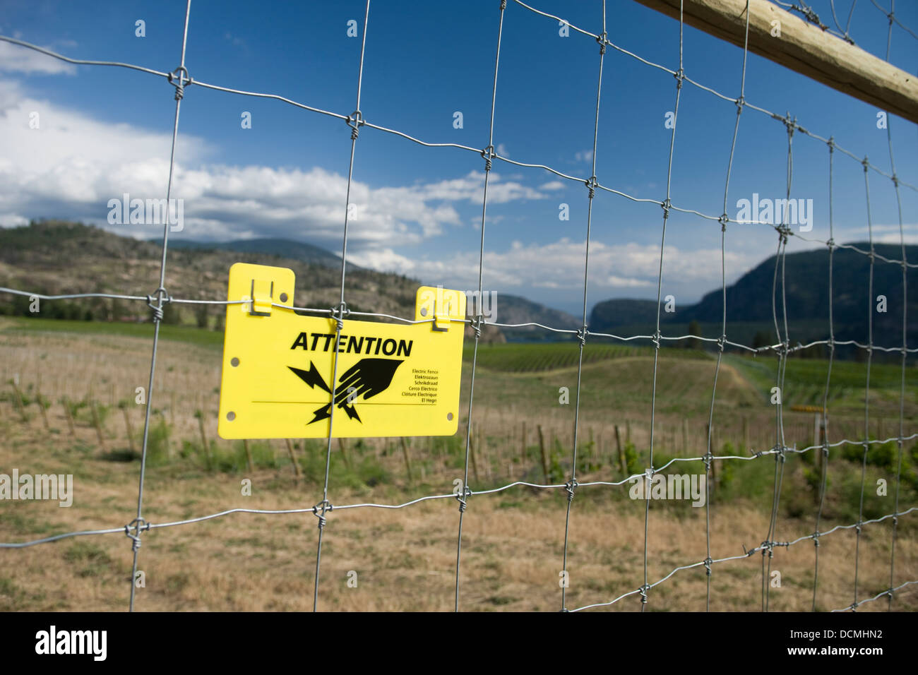 Valla de seguridad electrificado Blue Mountain los viñedos de Okanagan FALLS VASEAUX lago sur Okanagan Valley British Columbia Canadá Foto de stock