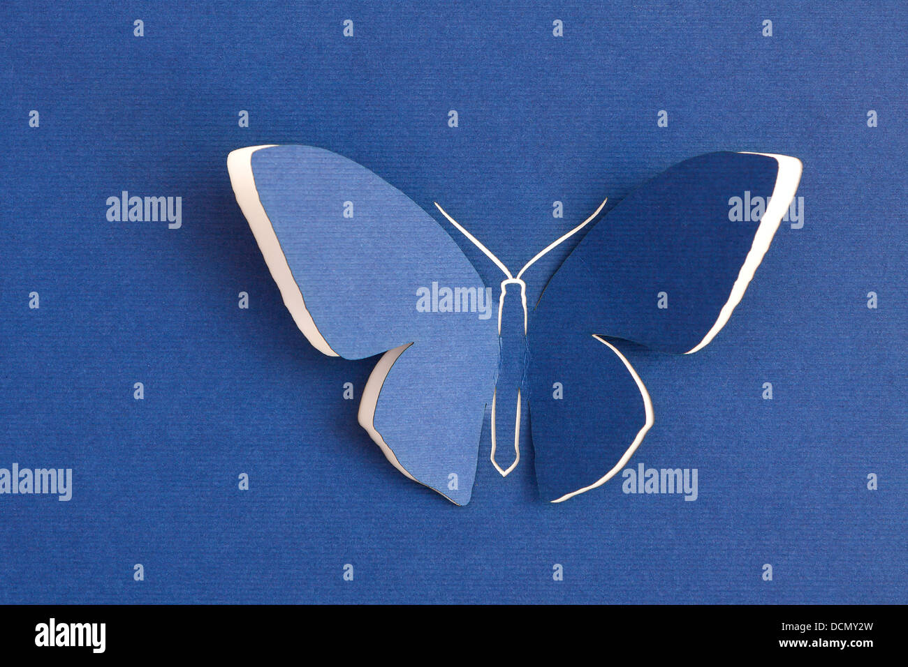 Tarjeta de felicitación con mariposas de papel Foto de stock