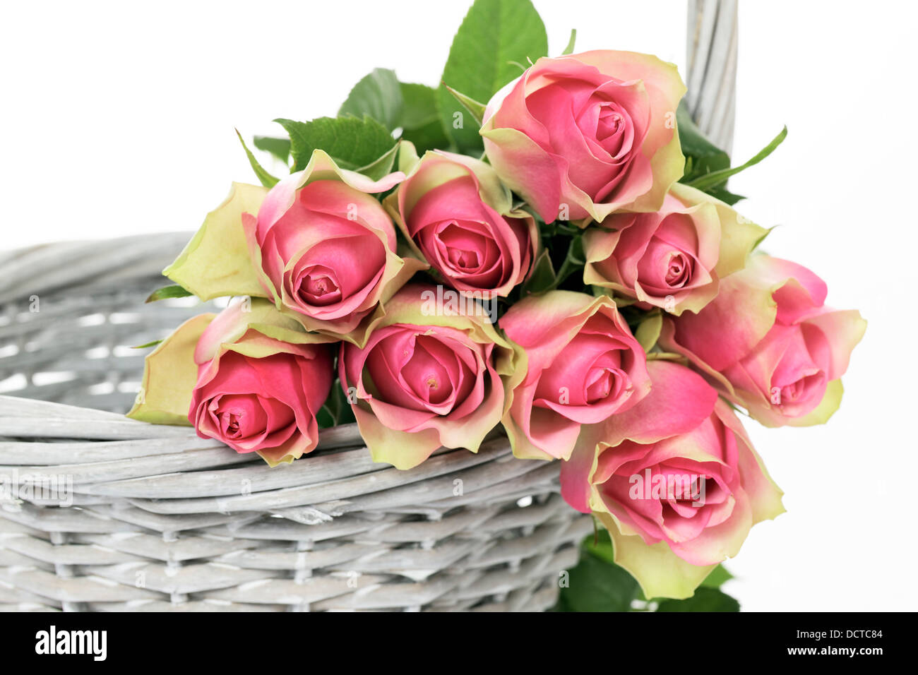 En una cesta de rosas Foto de stock